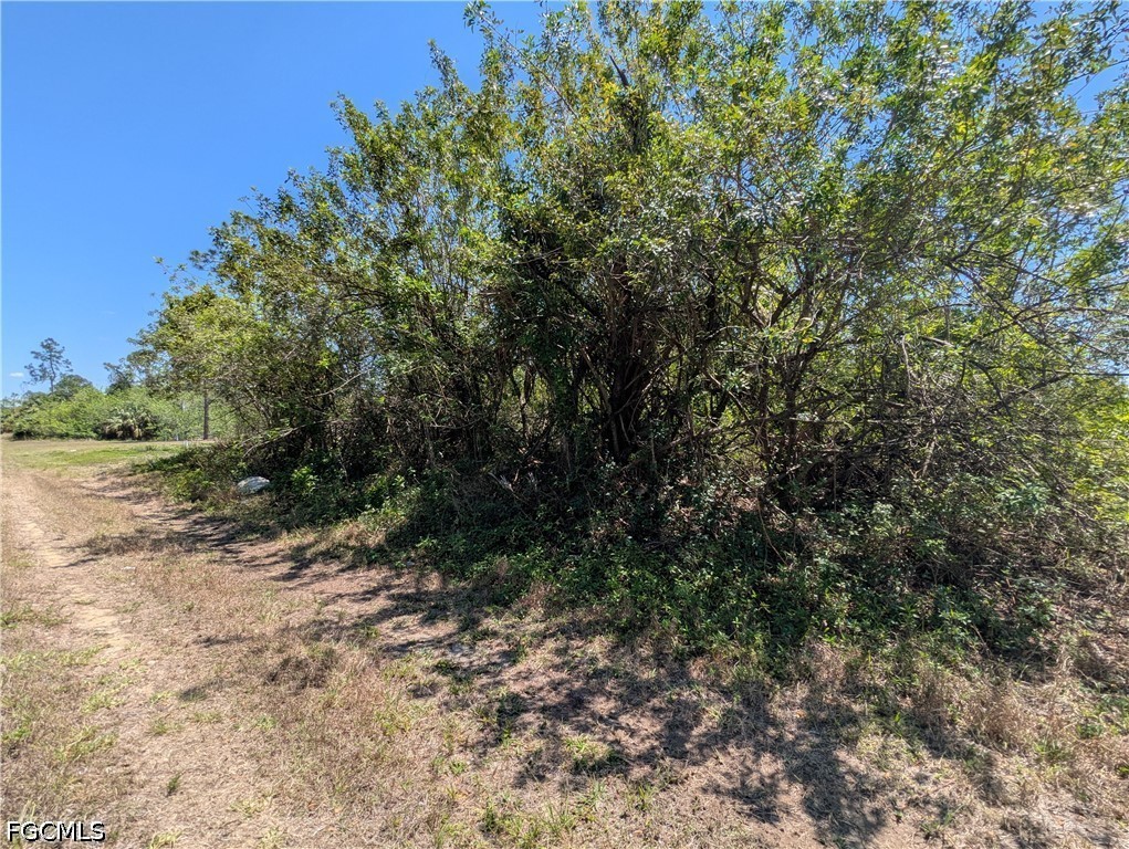 1009 Butler Street E