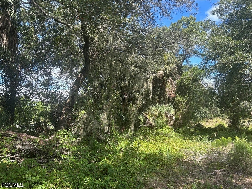15181 Cemetery Road