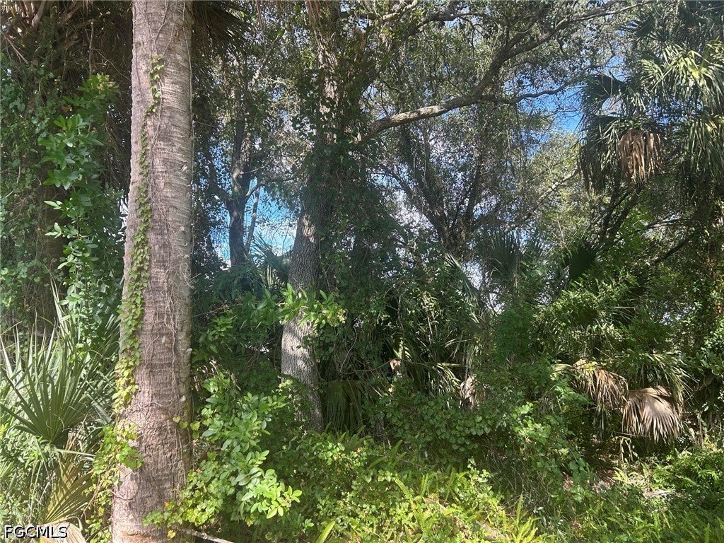 15181 Cemetery Road
