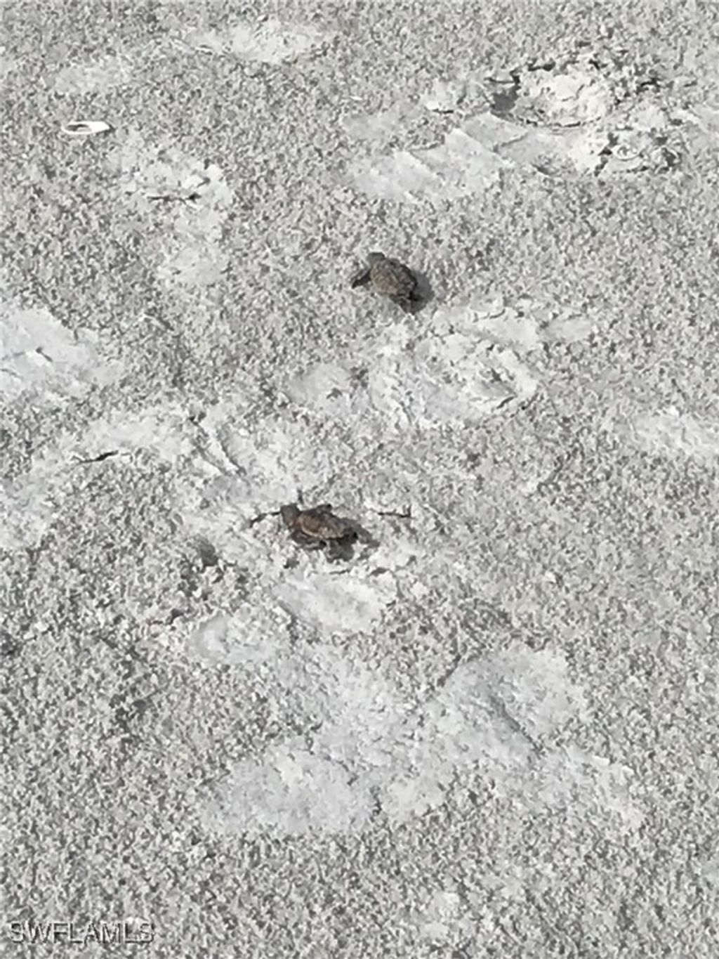 listing image 26