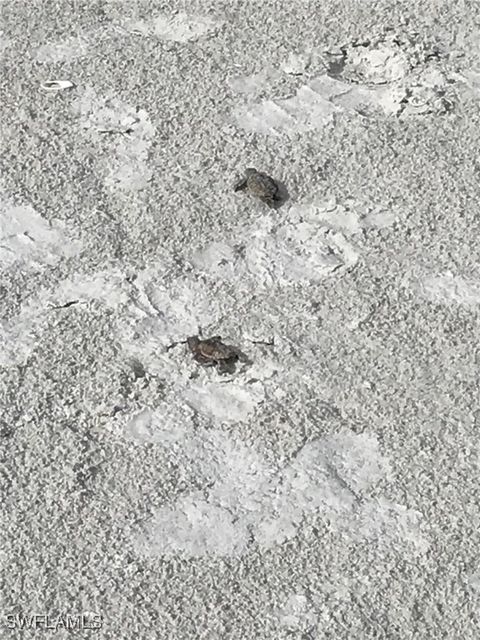 listing image 26