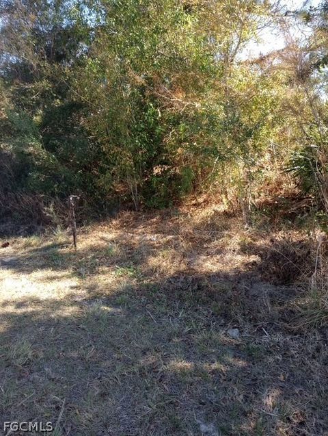 3111 52nd Street W Lehigh Acres FL 33971