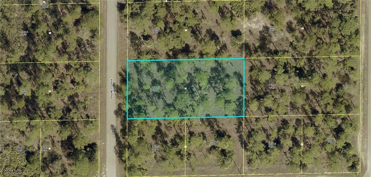 1302 Palmetto Avenue