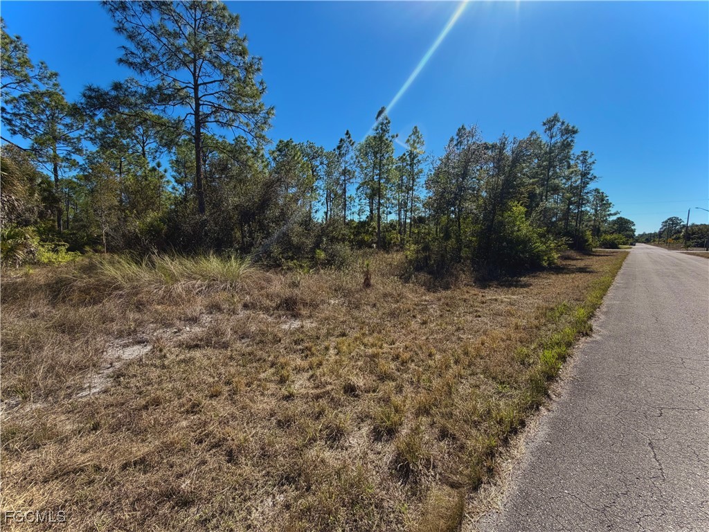 1302 Palmetto Avenue