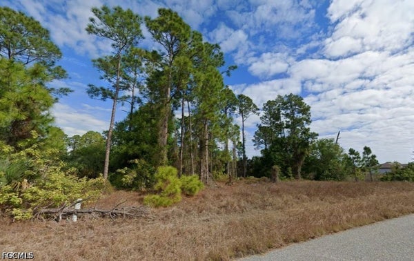 1243 CORDOBA ST E, LEHIGH ACRES, FL 33974 - Image beeda4c8a6aa7fe9d17a8bc25c9bf8f5/1906219683
