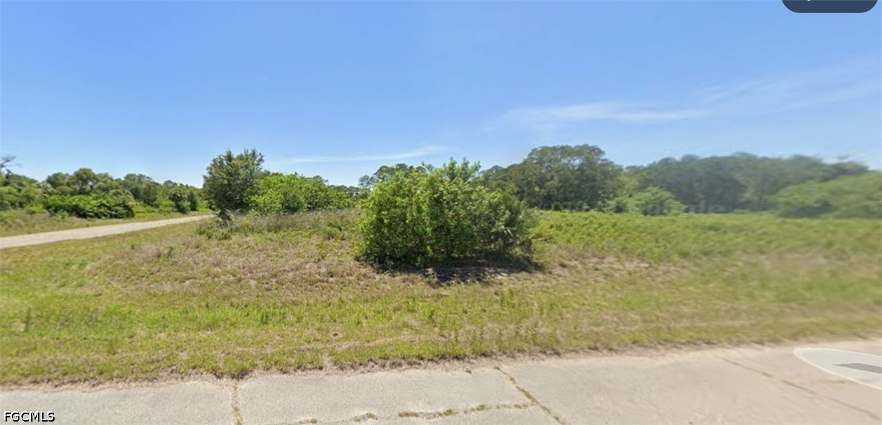 1118 Silverfish Drive