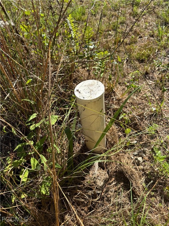 691 Bald Cypress Avenue