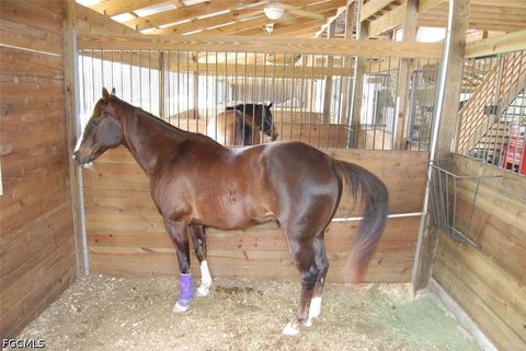 Tiny photo for 5801 Park Road, Fort Myers, FL 33908 (MLS # 2026017844)