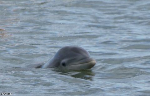 Tiny photo for 4821 S Landings Drive #205, Fort Myers, FL 33919 (MLS # 2026018129)