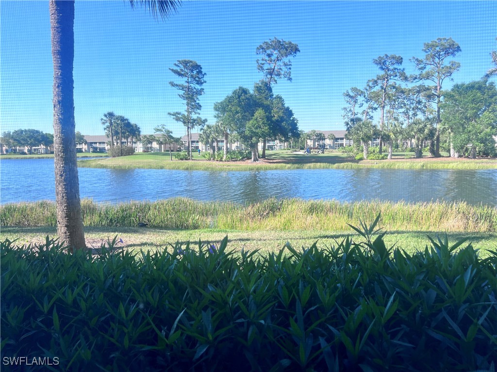 8075 Queen Palm Lane 512
