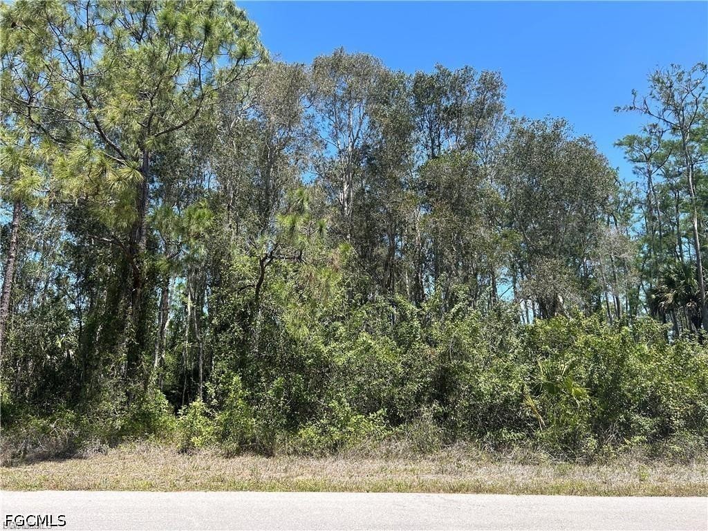 Photo 1 of 4 — 665 Knapp Street, Lehigh Acres, FL 33974