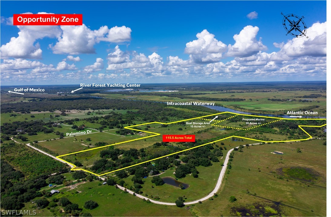 1667 PALOMINO DR