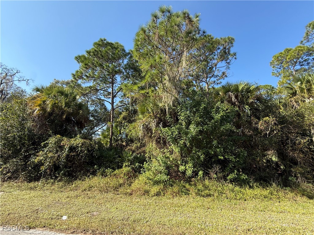 810 S Mayoral Street