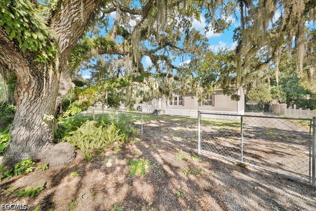 1080 Canopy Lane