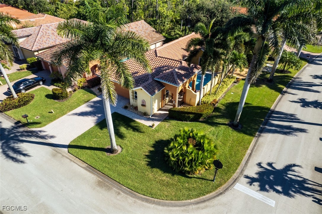 11551 Axis Deer Lane