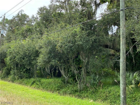 Tiny photo for N State Road 29, Labelle, FL 33935 (MLS # 2026012620)