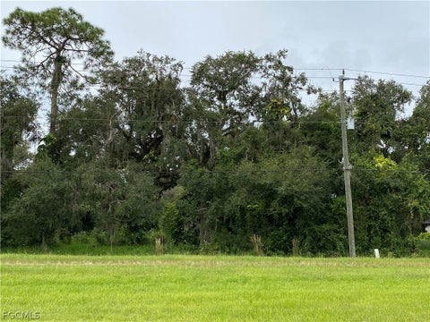 Tiny photo for N State Road 29, Labelle, FL 33935 (MLS # 2026012620)