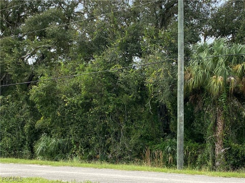 Tiny photo for N State Road 29, Labelle, FL 33935 (MLS # 2026012620)