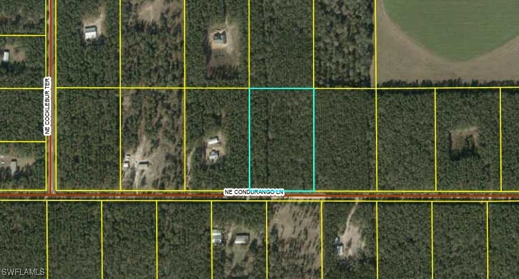 Listing image 1