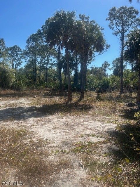 3611 50th Street W Lehigh Acres FL 33971