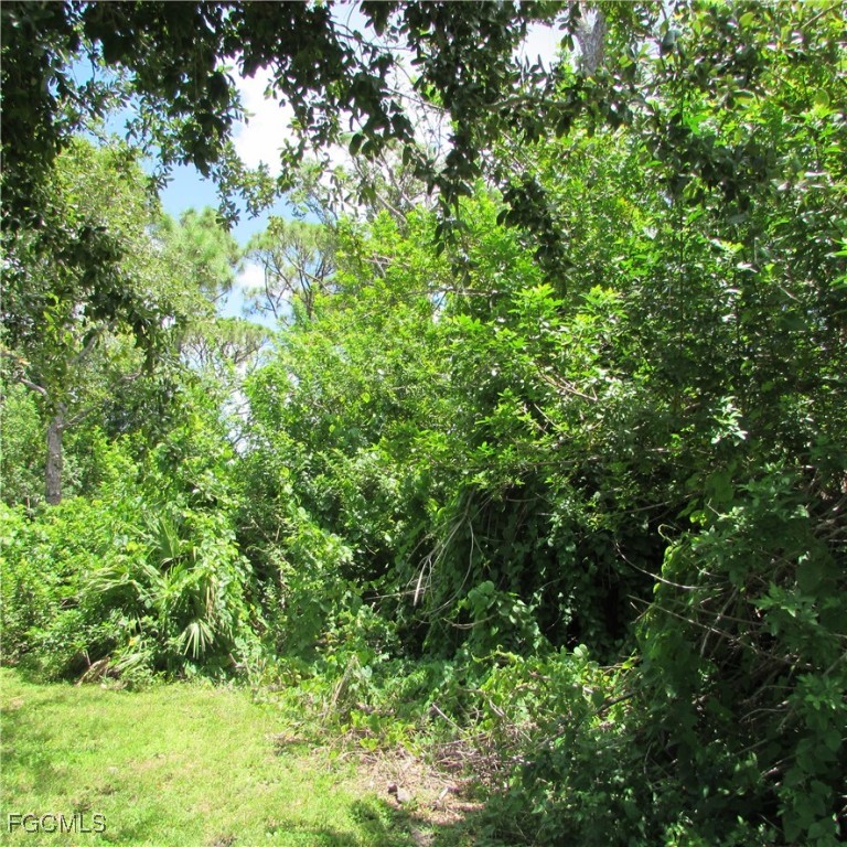 3644 Tropical Point Drive