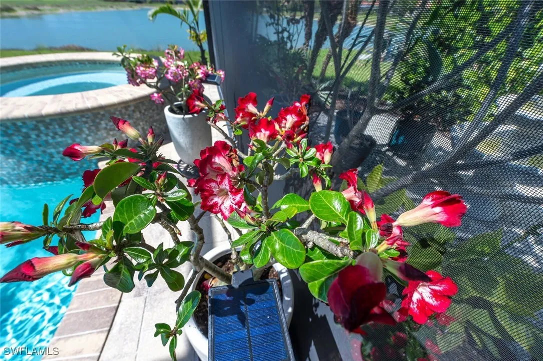 Naples, Florida 34120, United States, 3 Bedrooms Bedrooms, ,3 BathroomsBathrooms,Residential,Active,179410