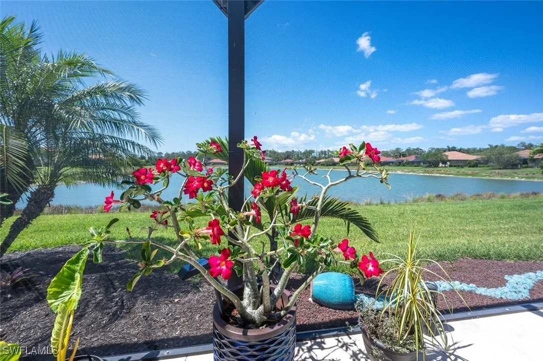 Naples, Florida 34120, United States, 3 Bedrooms Bedrooms, ,3 BathroomsBathrooms,Residential,Active,179410