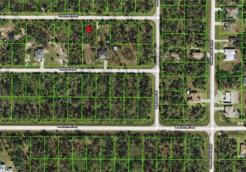 14463 Fuchsia Avenue Port Charlotte FL 33953