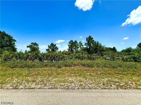 Photo of 2516 12th Street SW, Lehigh Acres, FL 33976 (MLS # 2026030498)
