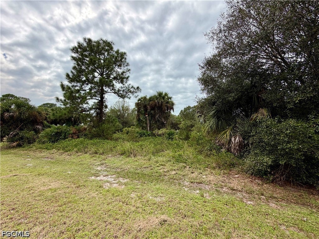850 S Cabbage Palm Street