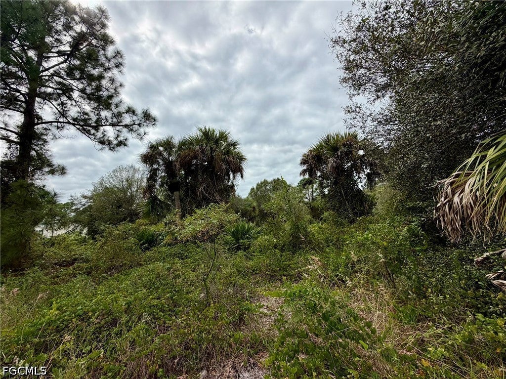 850 S Cabbage Palm Street
