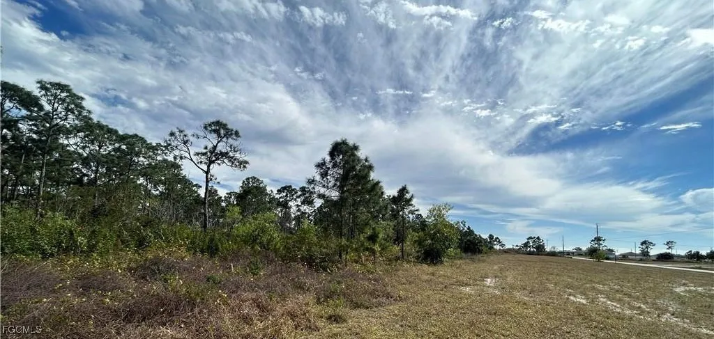 Cape Coral, Florida 33993, United States, ,Land,Active,251815