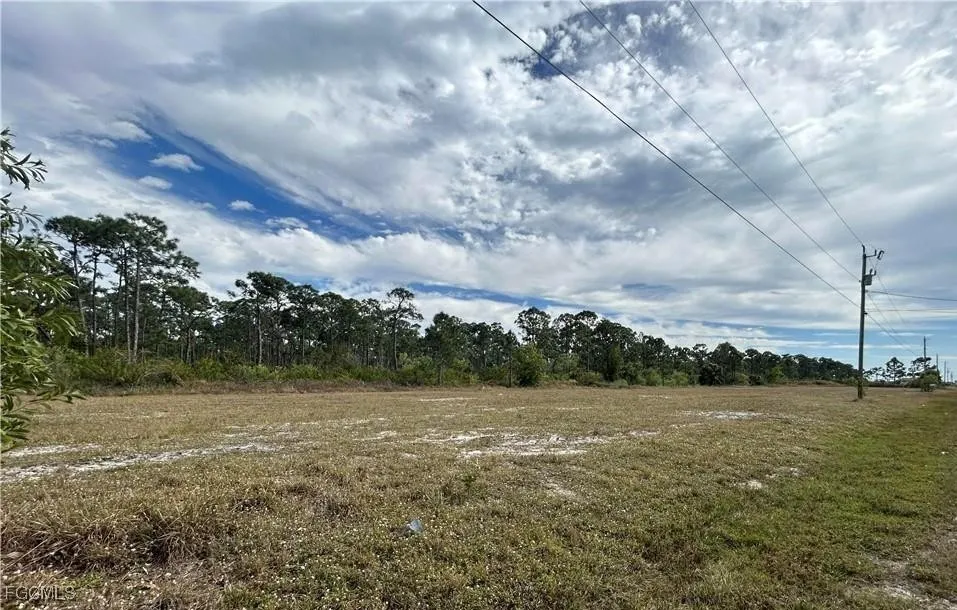 Cape Coral, Florida 33993, United States, ,Land,Active,251815