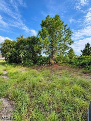 3703 40TH ST SW, LEHIGH ACRES, FL 33976 - Image f0e154a905d24149727331140ea8b43e/2687910645