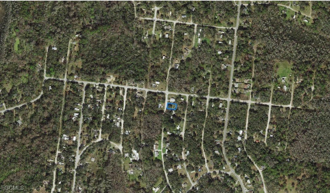 17-25-16-009.0-139.00-094 Jungle Street