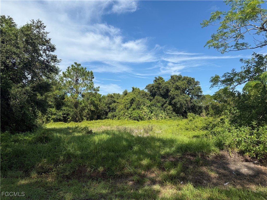 370 N Palomino Street