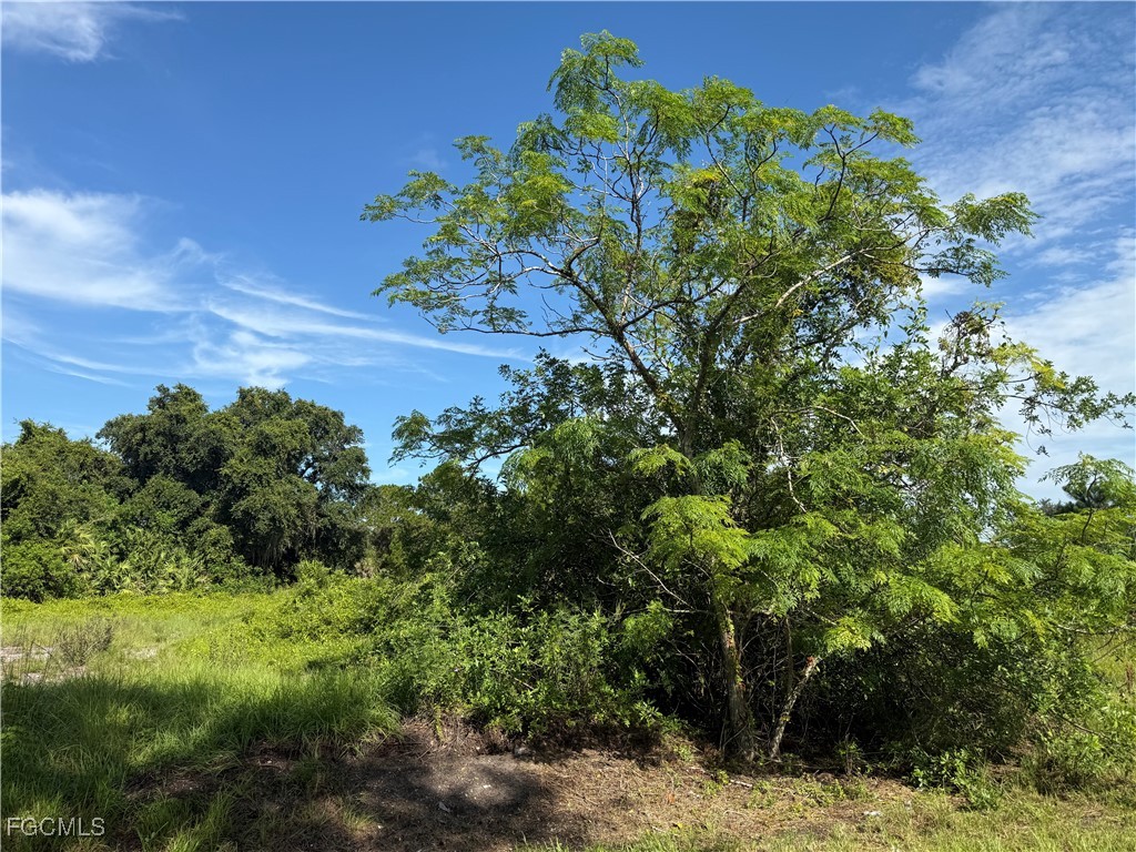 370 N Palomino Street