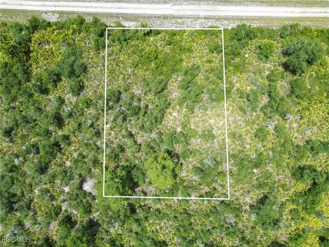 Tiny photo for 4222 E 29th Street, Alva, FL 33920 (MLS # 2025017294)