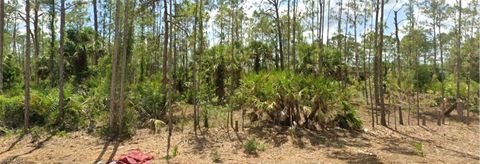 1857 Octavia Street Lehigh Acres FL 33972