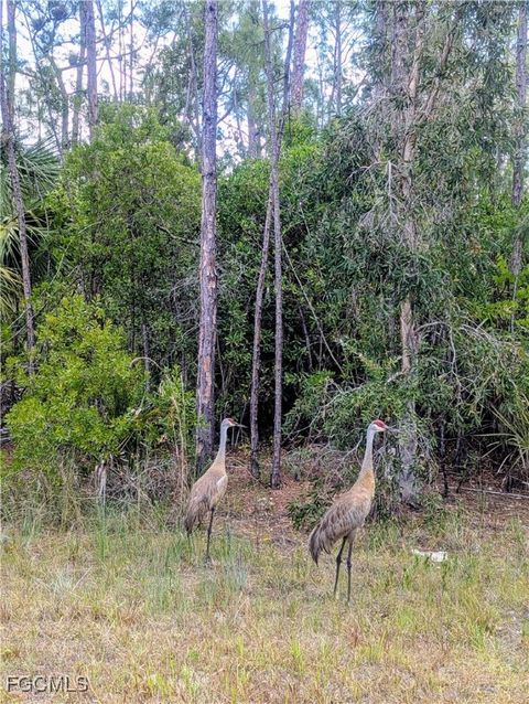 Tiny photo for 1904 Ney Court, Lehigh Acres, FL 33972 (MLS # 2026004906)