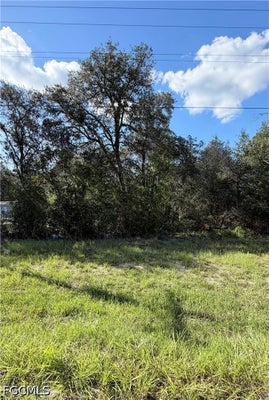 NE 106TH TER, BRONSON, FL 32621 - Image fb42556a4b5ce2592087e2d5b79eb191/163749568