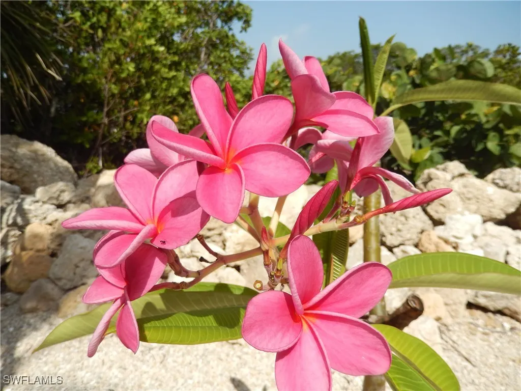 Fort Myers Beach, Florida, 33931, United States, 3 Bedrooms Bedrooms, ,3 BathroomsBathrooms,Residential,Active,1849238