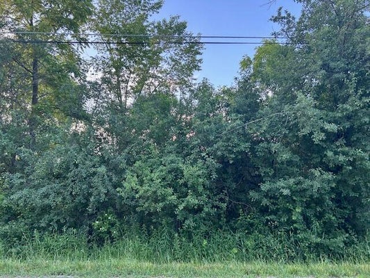 LT3 4TH ST, KENOSHA, WI 53144 - Image 00e509d9b45625f6fbc42e38e543fb9f/2192364569