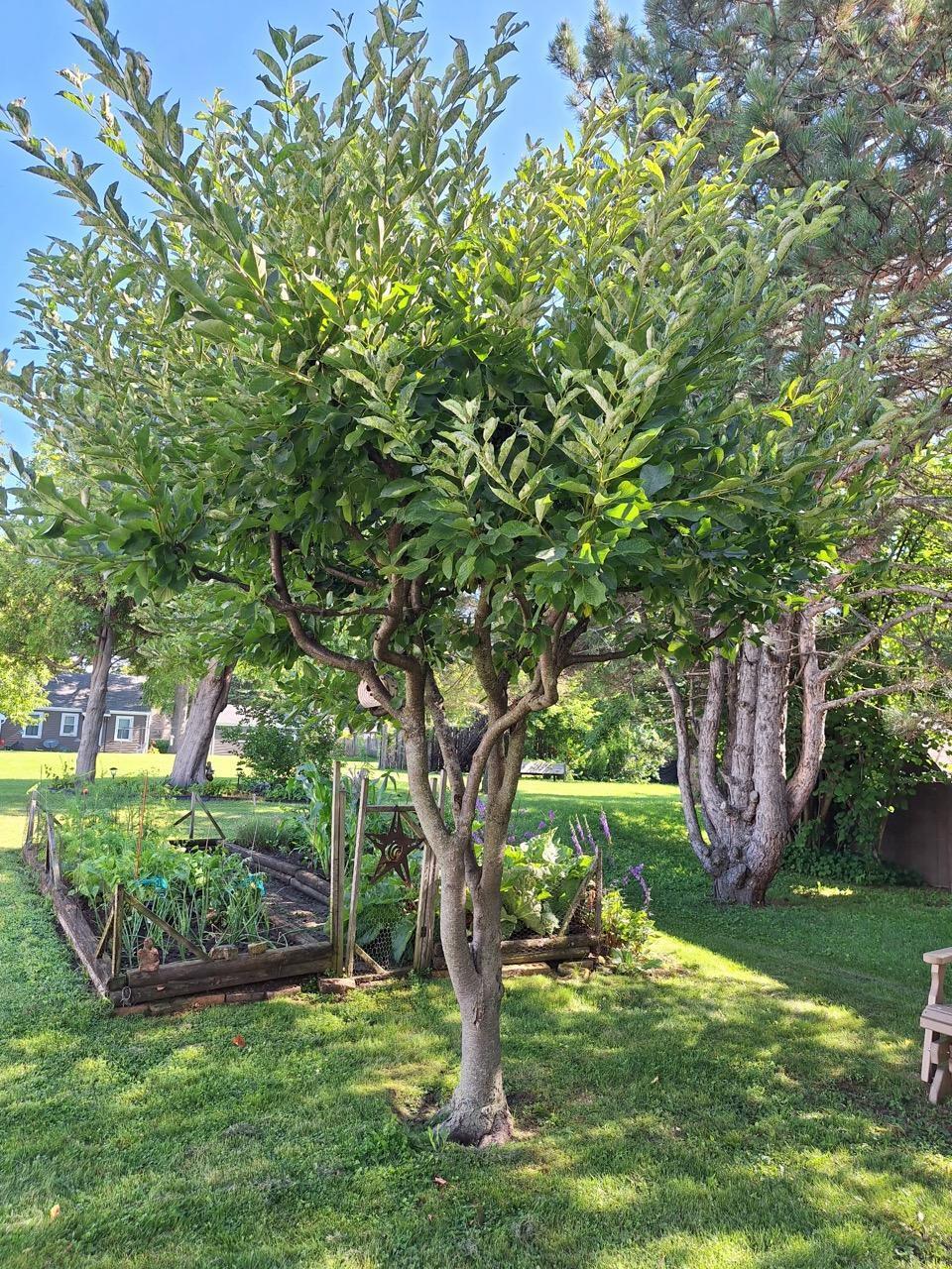 Kewaunee, Wisconsin 54216, United States, 4 Bedrooms Bedrooms, ,1 BathroomBathrooms,Residential,Active,224247