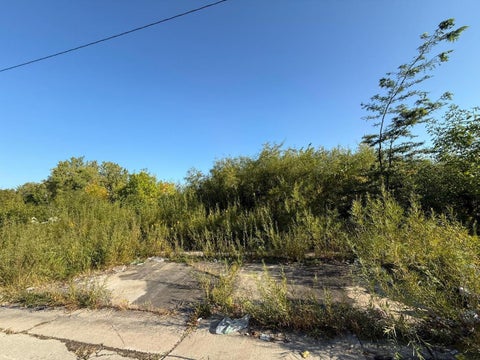 Photo of 9622 W Allyn St, Milwaukee, WI 53224 (MLS # 1986051)