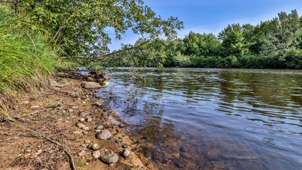 7006 W RAPIDS RD, LAKE TOMAHAWK, WI 54539 - Image 18fc5a19255f3964b2cf2016b7d27d5f/396603258