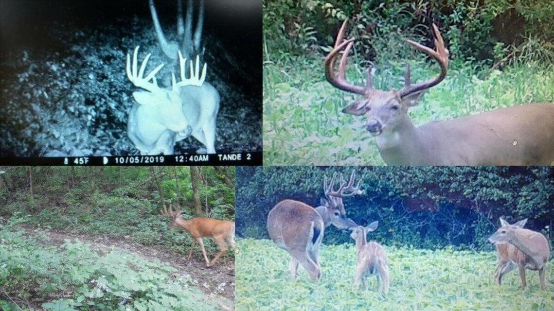 N7534 Skoy Coulee Rd