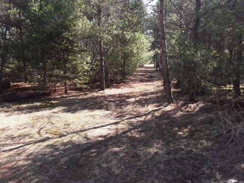 Photo of N18352 Reed Rd, Pembine, WI 54156 (MLS # 1962970)