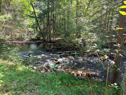 Photo of 17306 S Village View Rd, Lakewood, WI 54138 (MLS # 1974217)