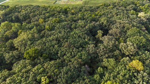 Photo of Lt1 Woodstead Rd, Norway, WI 53185 (MLS # 1979105)